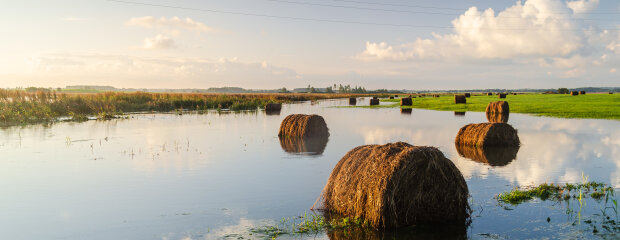 Heuballen im Hochwasser