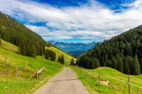 Beitragsbild 2025 TNr. 53