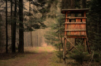 Beitragsbild 2025 TNr. 41