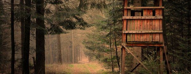 Beitragsbild 2025 TNr. 41