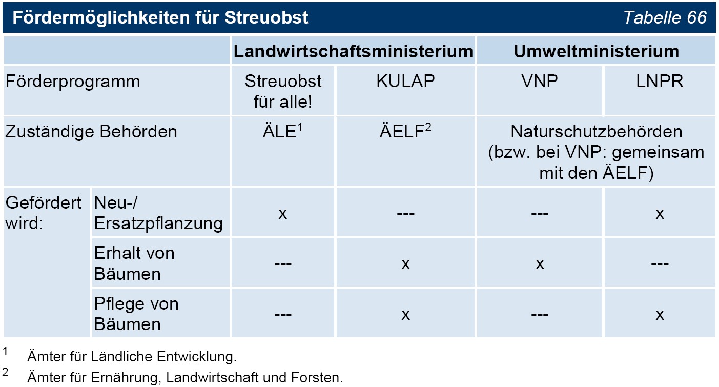 Tabelle 66 Fördermöglichkeiten für Streuobst Tabelle 66 Fördermöglichkeiten für Streuobst